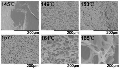 PHBV microcellular foam material and preparation method thereof