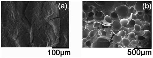 PHBV microcellular foam material and preparation method thereof