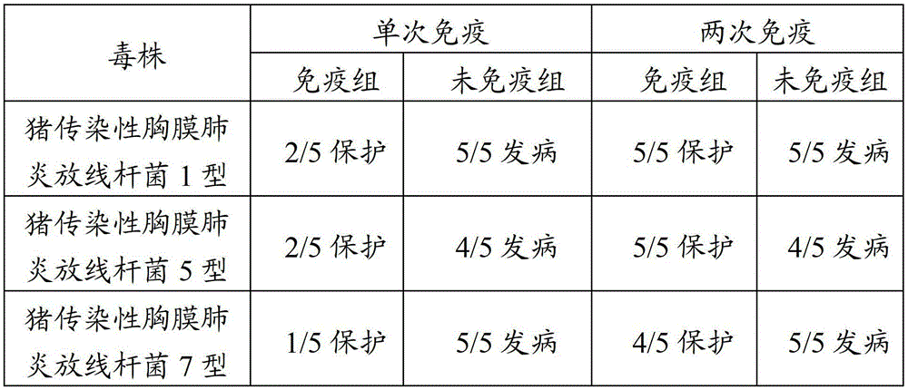 Vaccine composition for preventing and treating respiratory diseases secondary to atrophic rhinitis, and preparation method and application thereof