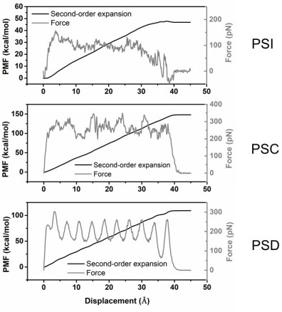 Method for analyzing adhesion mechanism of conductive polymer and semiconductor based on computer simulation