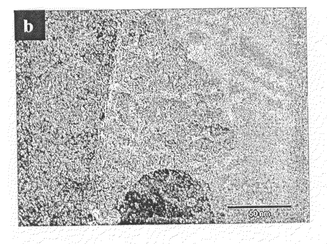 Method for manufacturing a nanoporous framework and a nanoporous framework thus produced