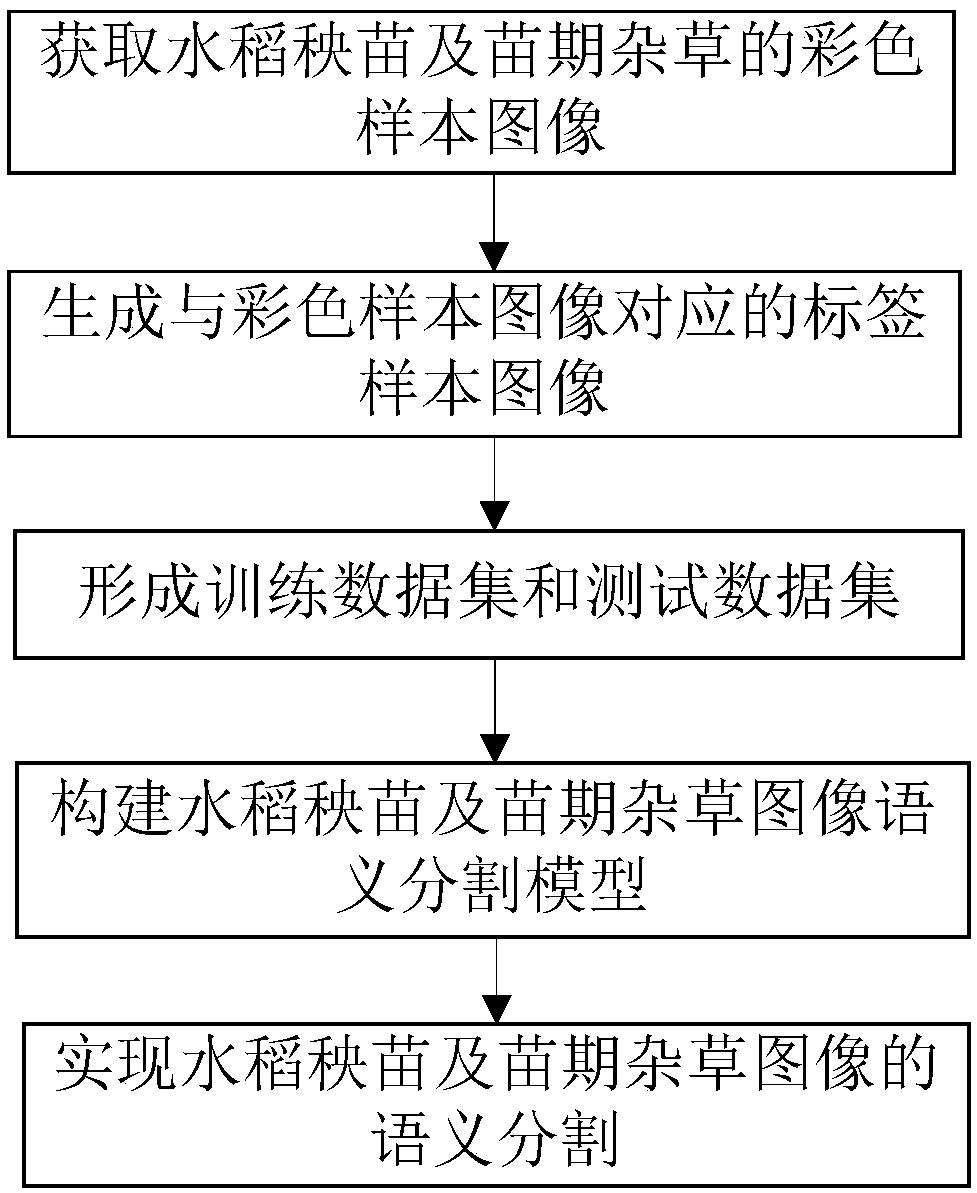 Rice seedling and seedling stage weed image semantic segmentation method, system and device and medium