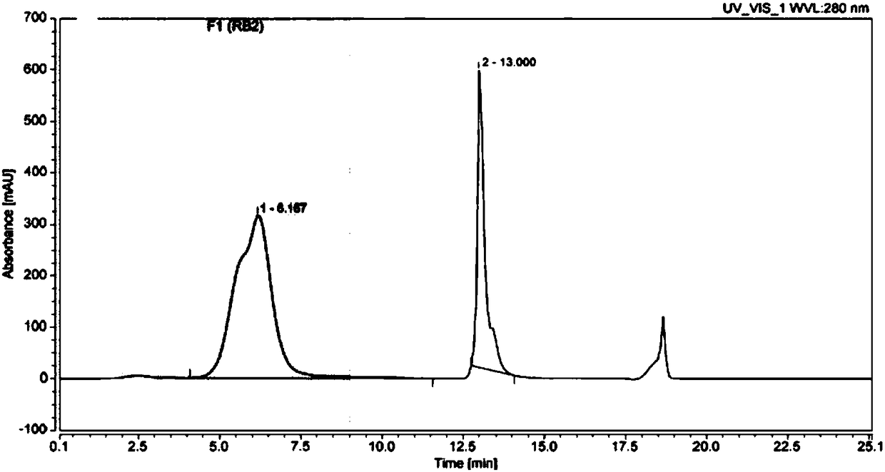 Biomarker for epilepsy diagnosis