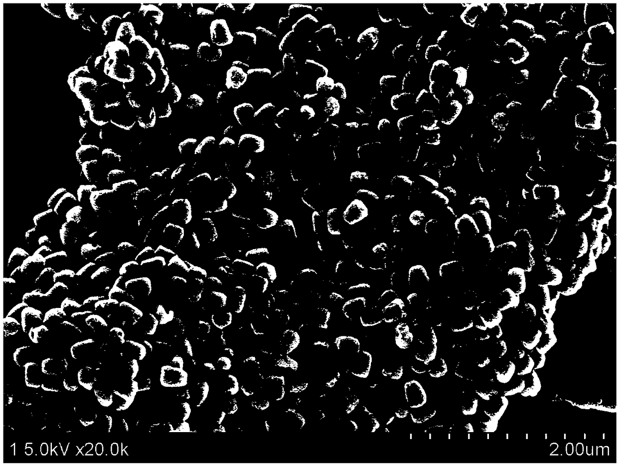 Preparation method of shape-controlled micro-nano ZnO under normal pressure and low temperature conditions