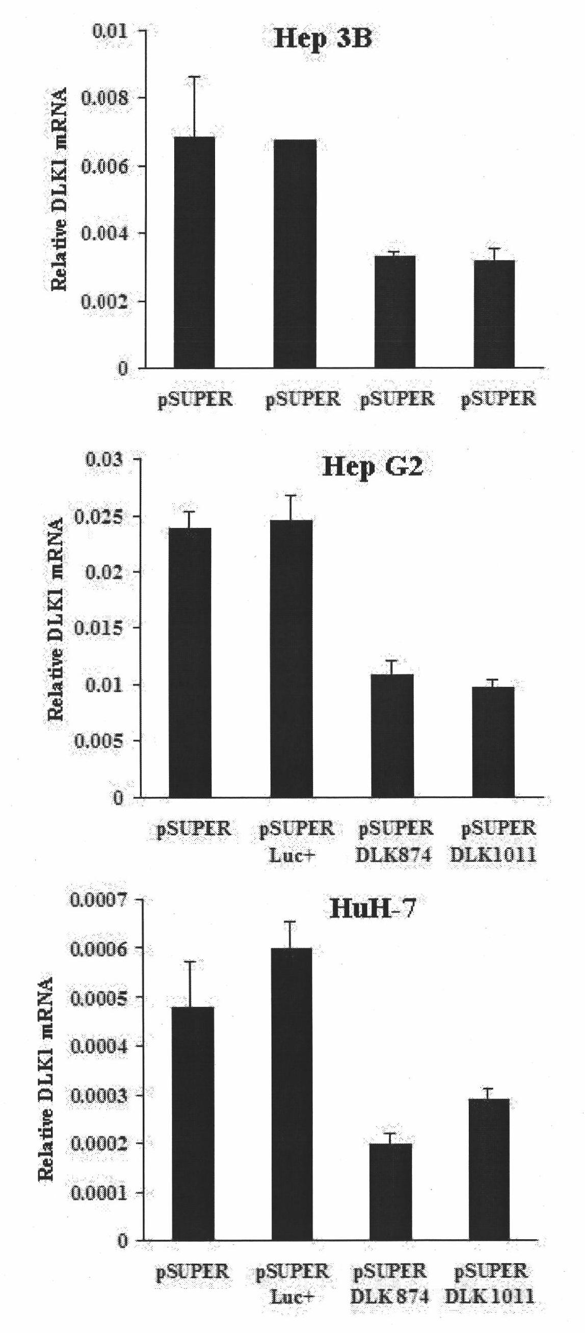 Ribonucleic acid taking liver cancer related gene DLK1 as target spot and application thereof