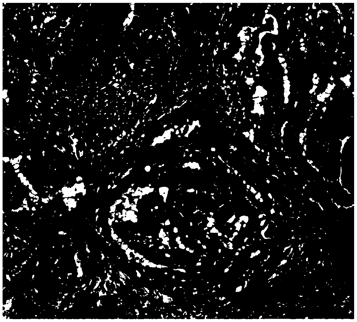 Hematoxylin dye solution for quick frozen sections used in linear dyeing instrument and dyeing method