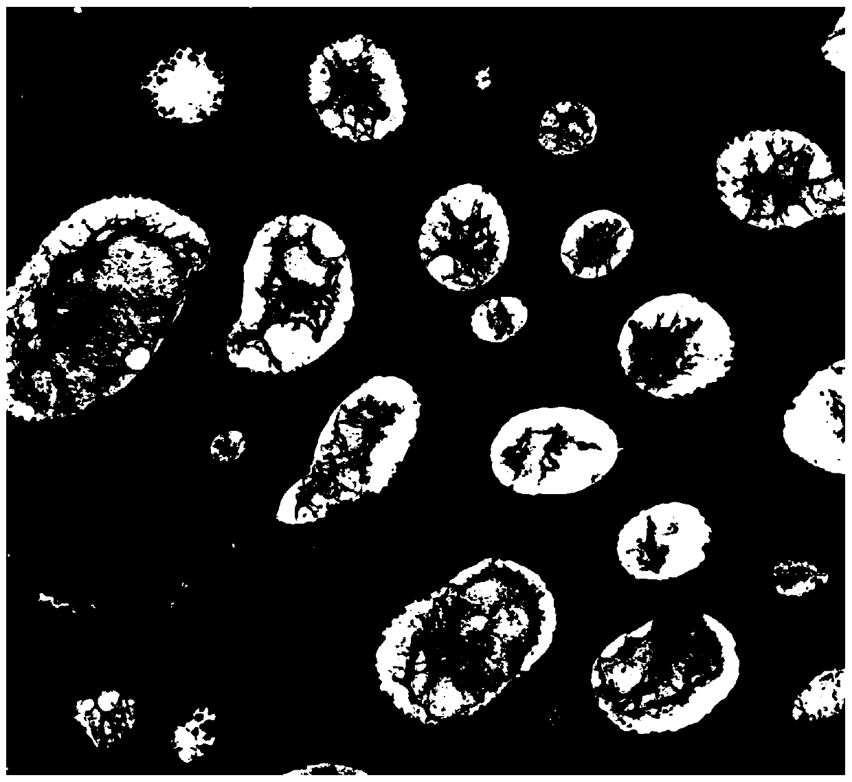 Hematoxylin dye solution for quick frozen sections used in linear dyeing instrument and dyeing method