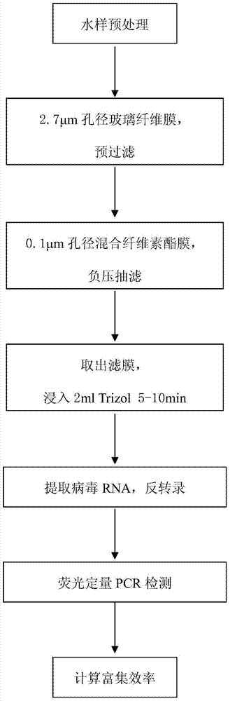 Method for enriching water body hepatitis A viruses based on mixed cellulose ester membrane