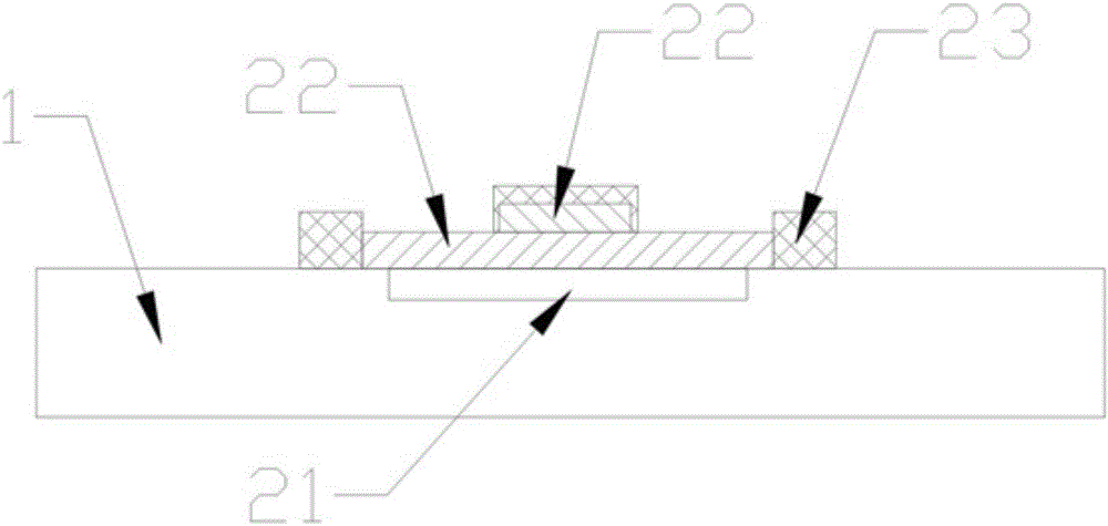 Graphene strain sensor array