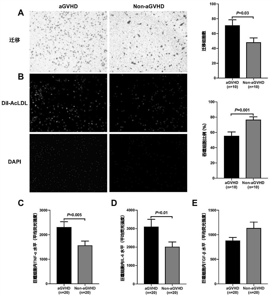 Application of macrophage subset and regulator thereof in acute graft versus host disease (aGVHD)