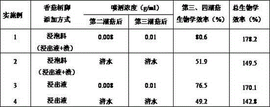 Abalone mushroom culture method