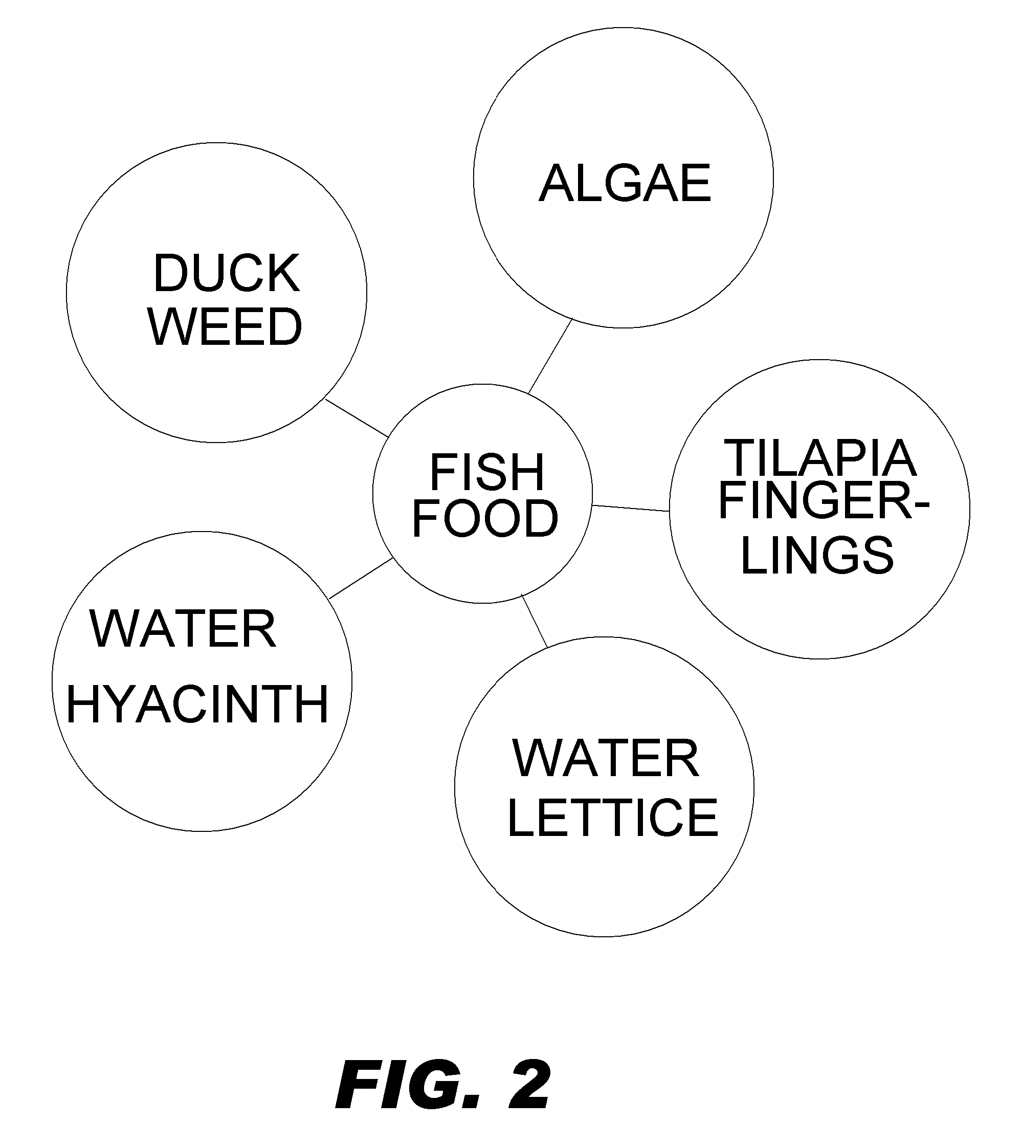 Sustainable Aquaponic System and Method for Growing Plants Like Medical Cannabis