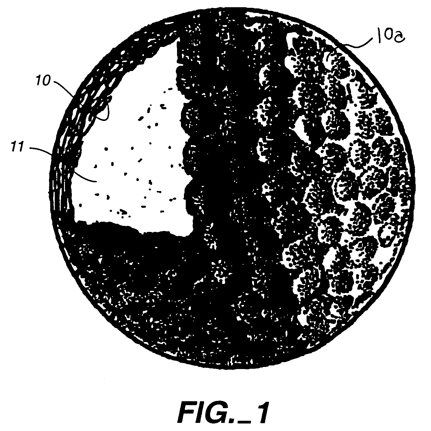 Fire retardant delivery system