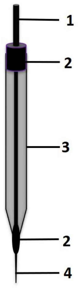 Preparation method and application of potentiometric microelectrode for in-situ detection of cerebrospinal fluid calcium ions