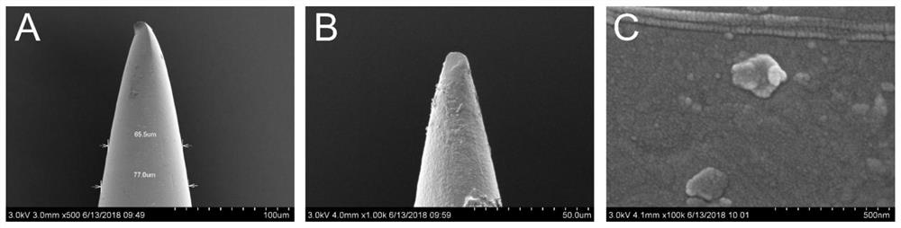 Preparation method and application of potentiometric microelectrode for in-situ detection of cerebrospinal fluid calcium ions