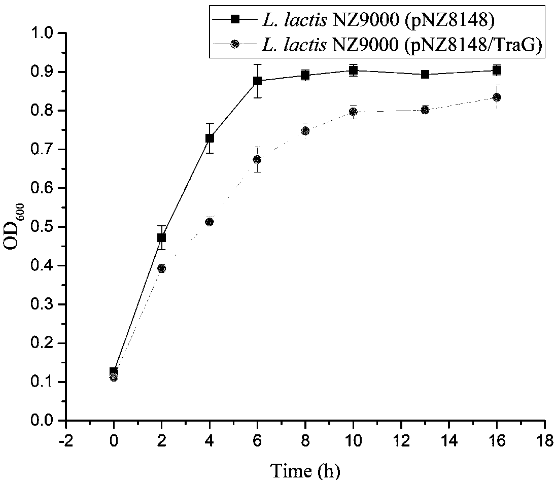 Acid stress resistant recombinant lactic acid bacteria and application thereof