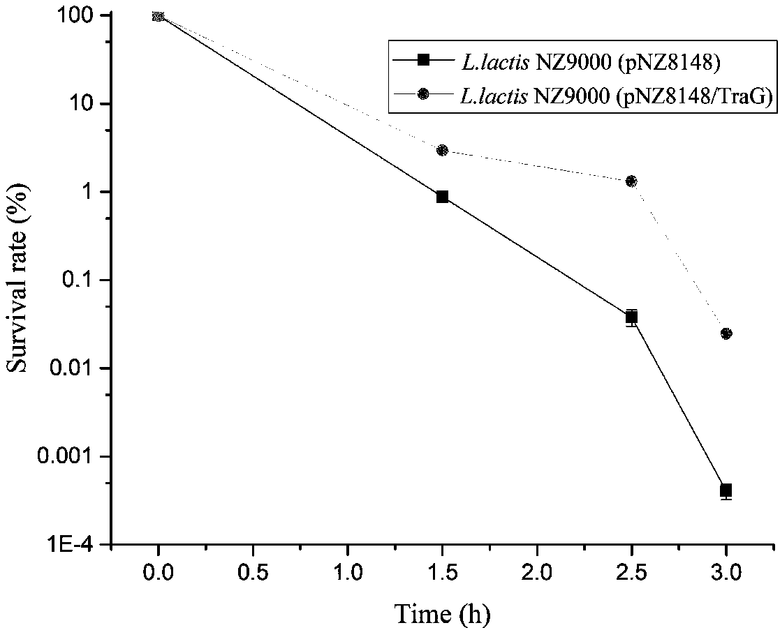 Acid stress resistant recombinant lactic acid bacteria and application thereof