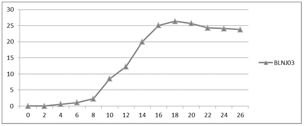 Saccharomyces cerevisiae strain for solid fermentation and its application