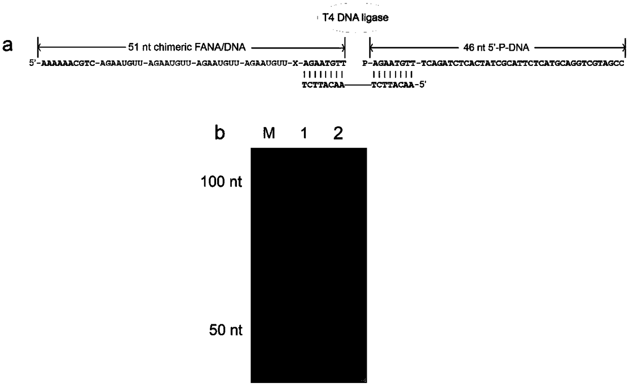 Nanopore based dislocation sequencing method for direct sequencing of non-natural nucleic acid