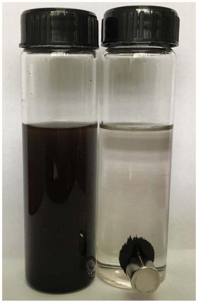 Magnetic magnesium hydroxide adsorbent and preparation method thereof