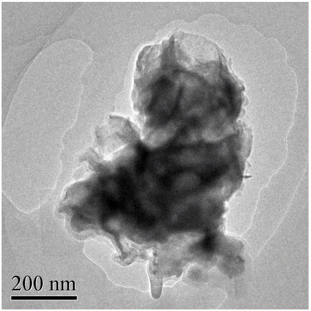 Metal cation doped molybdenum disulfide material, preparation method and applications thereof