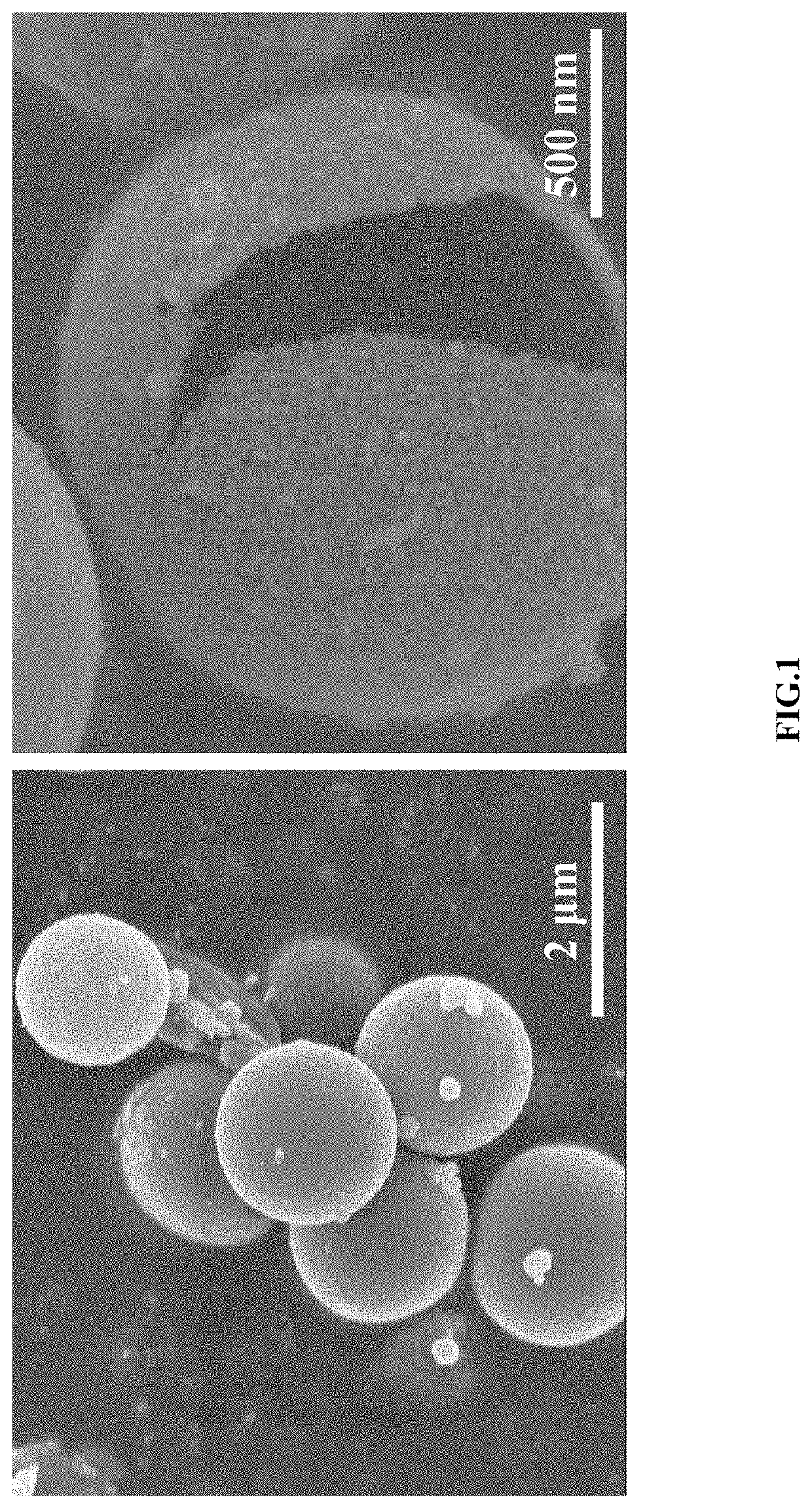 Preparation Method and Application for Metal Sulfide Hollow Microspheres with Enriched Sulfur Vacancies