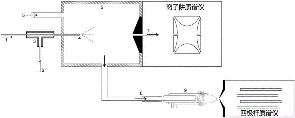 Mass spectrum feeding device and mass spectrum detection equipment