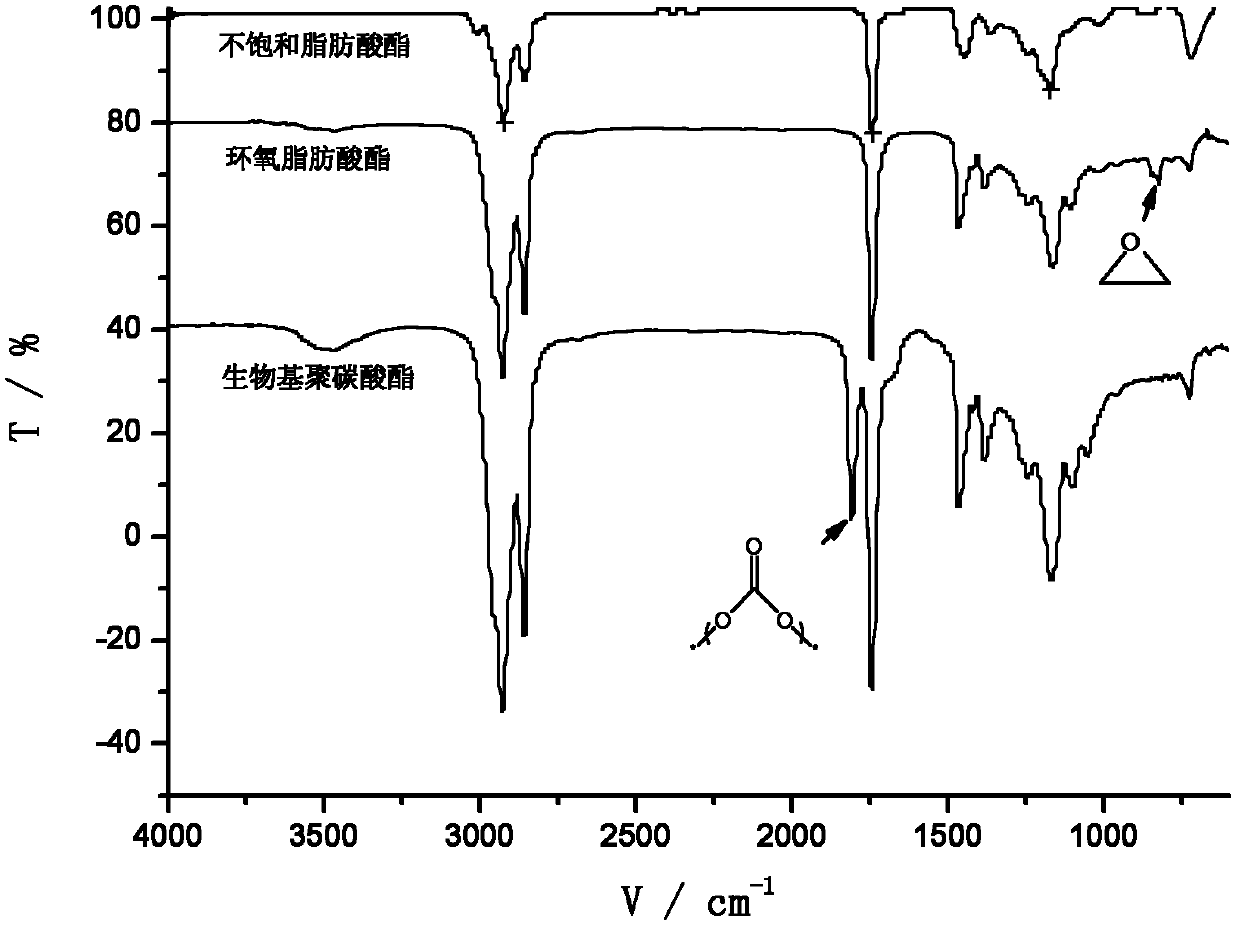 Biologic polycarbonate and preparation method thereof