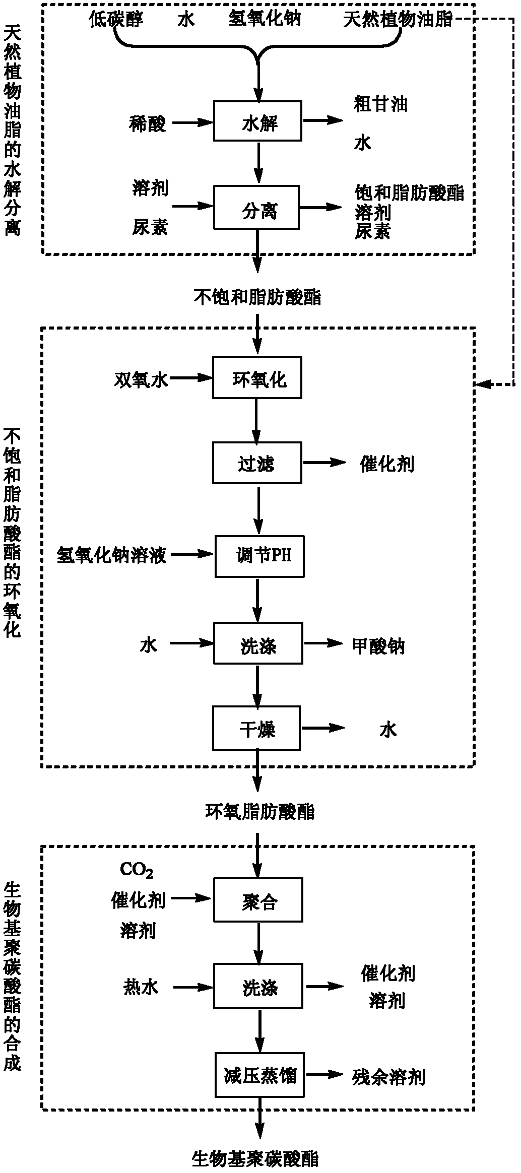 Biologic polycarbonate and preparation method thereof