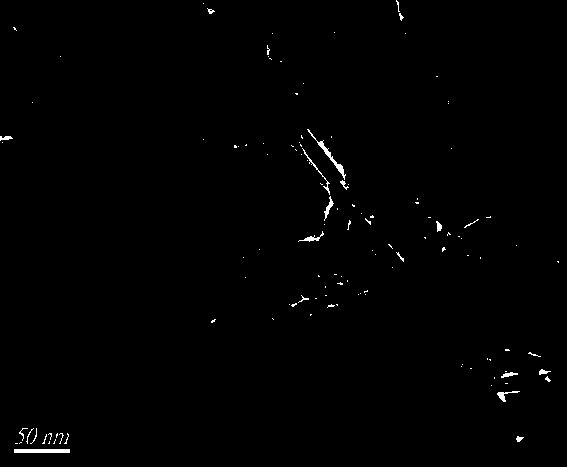 Preparation method of self-assembly silver phosphate based composite visible light catalytic material