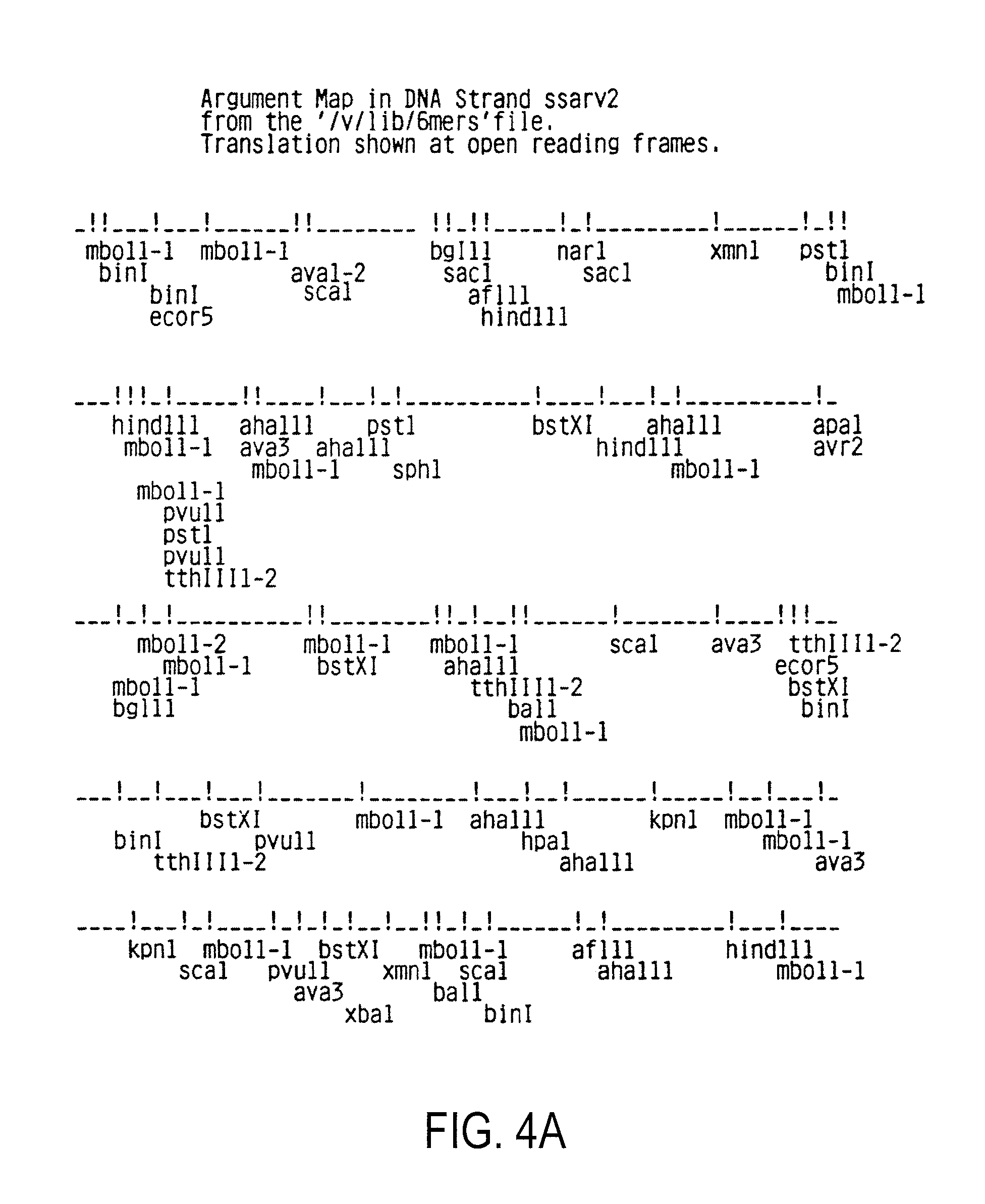 HIV immunoassays using synthetic envelope polypeptides