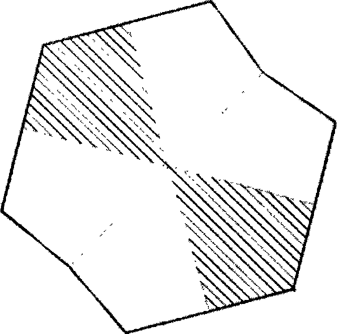 Quasi-hexagonal sheet calcium carbonate metastable-state crystal particle and method of preparing the same