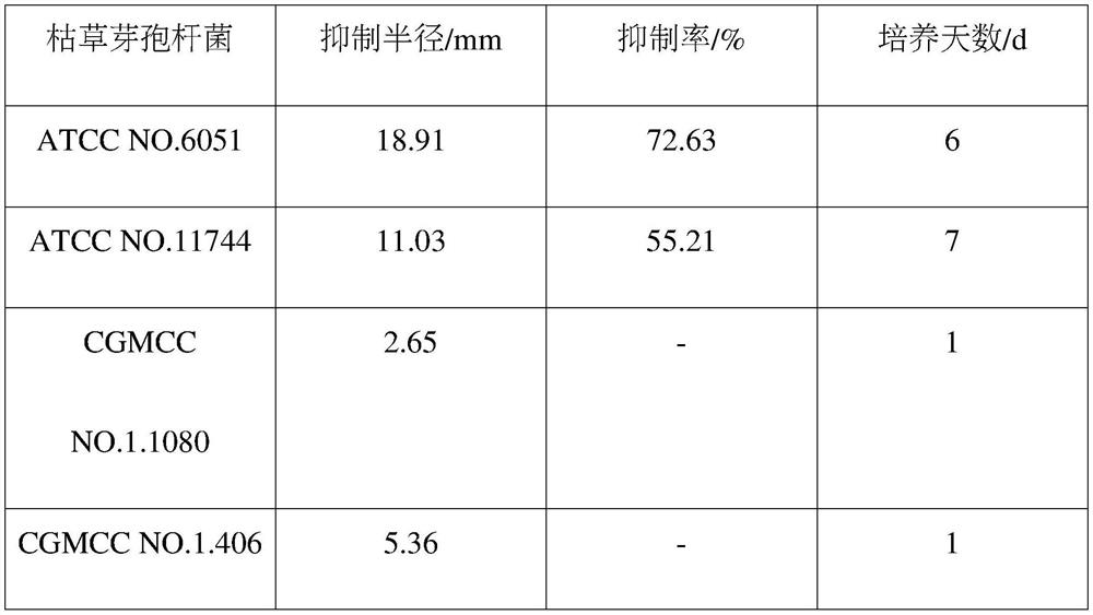 Application of a kind of Bacillus subtilis in biological control of Phellodendron blight