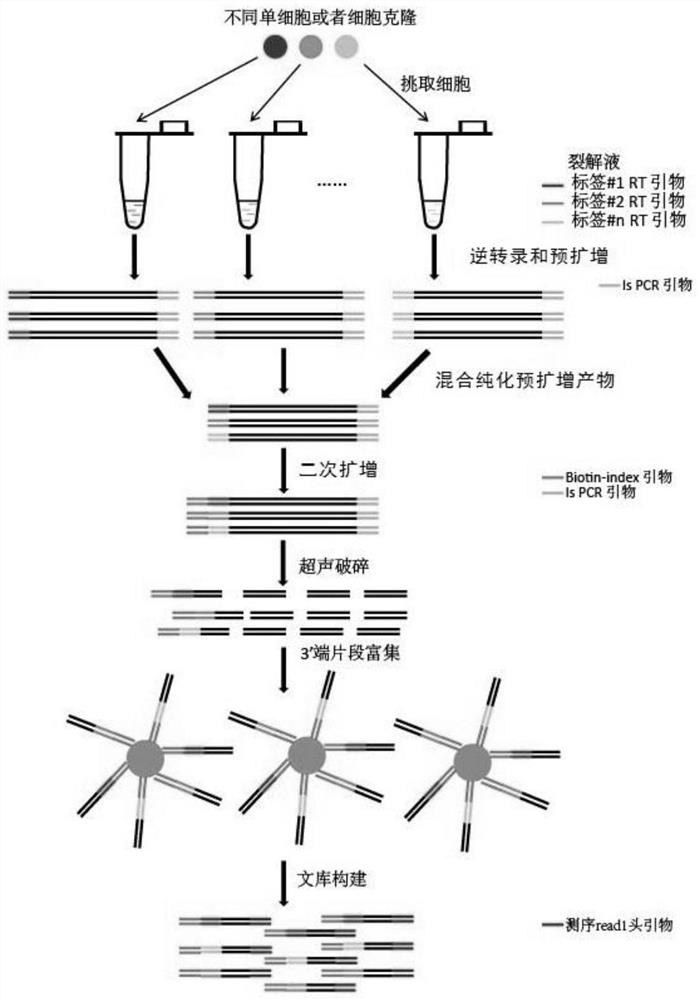 A drug target prediction and comprehensive drug evaluation method