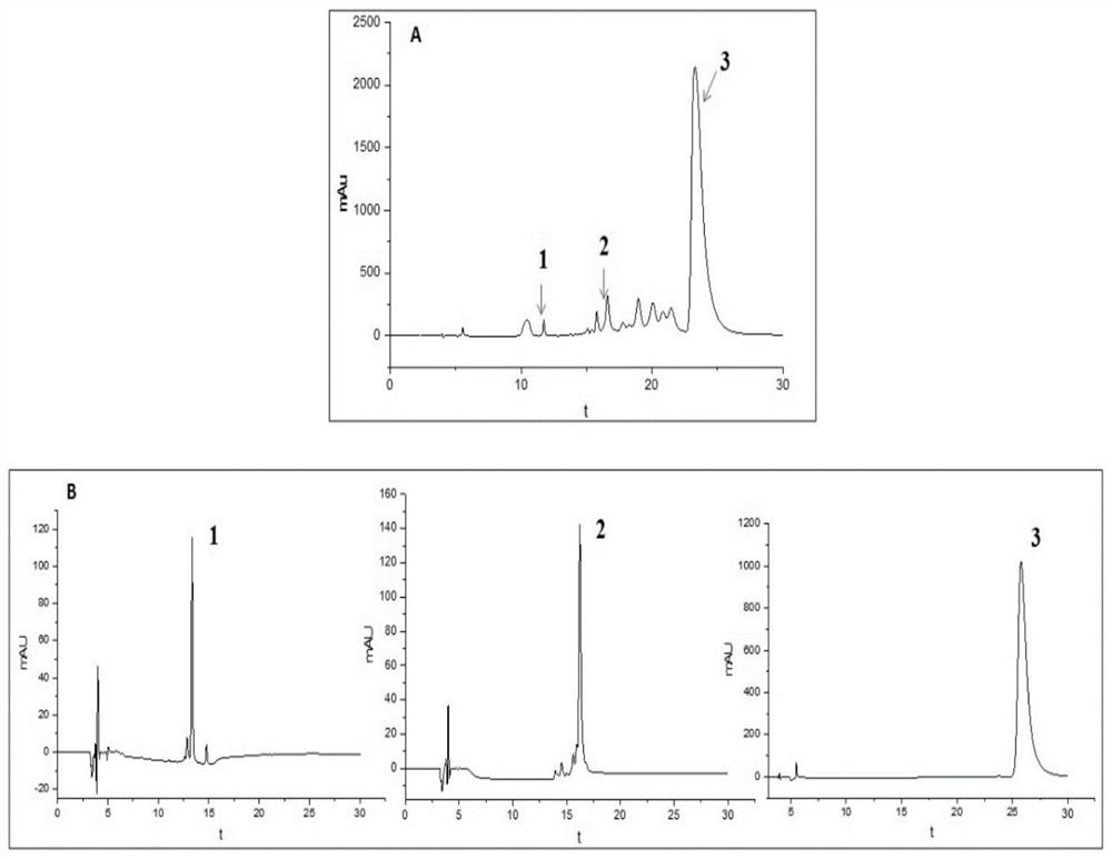 A kind of method for separating medlar pigment monomer