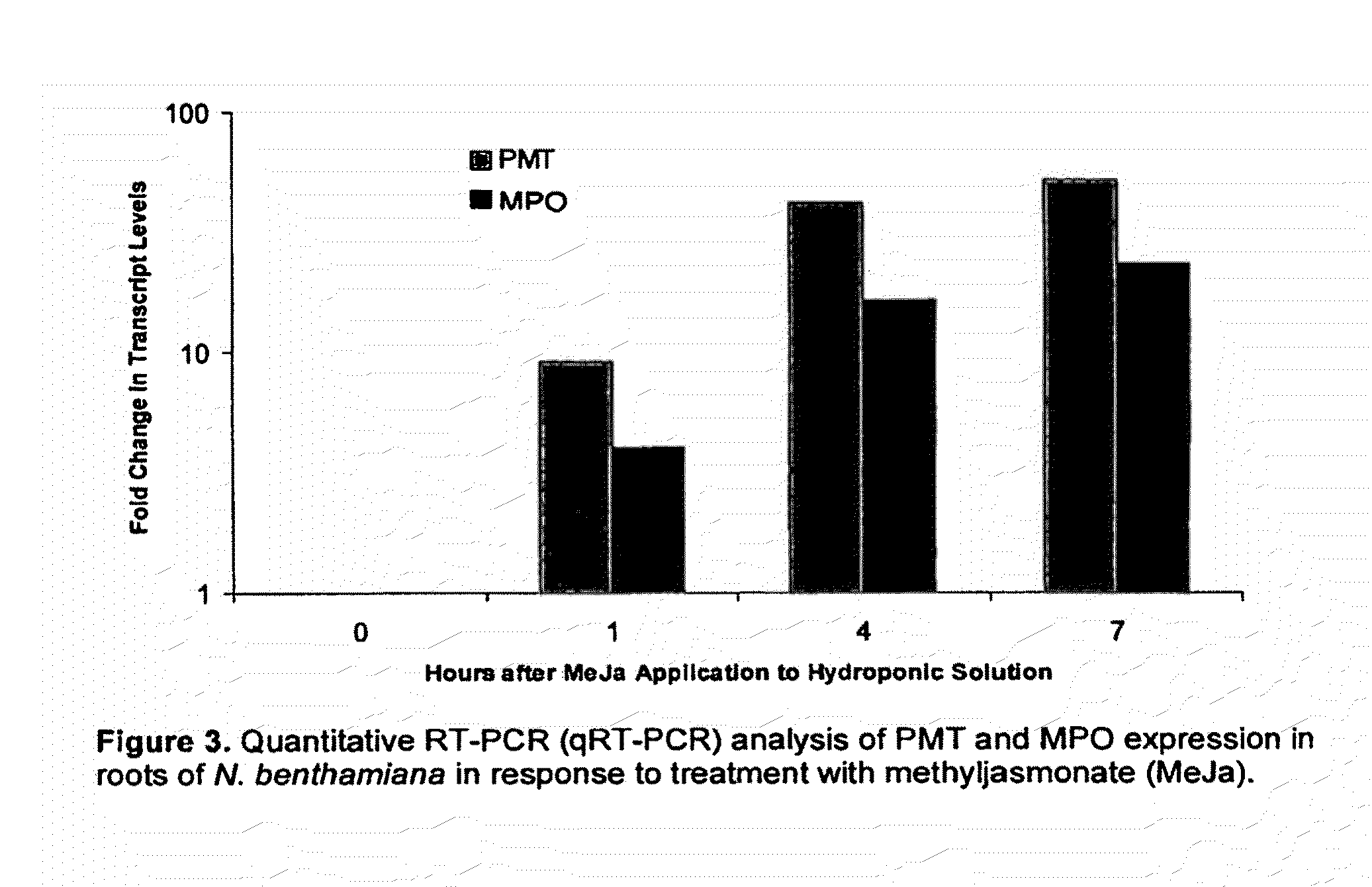 Nucleic acid encoding N-methylputrescine oxidase and uses thereof