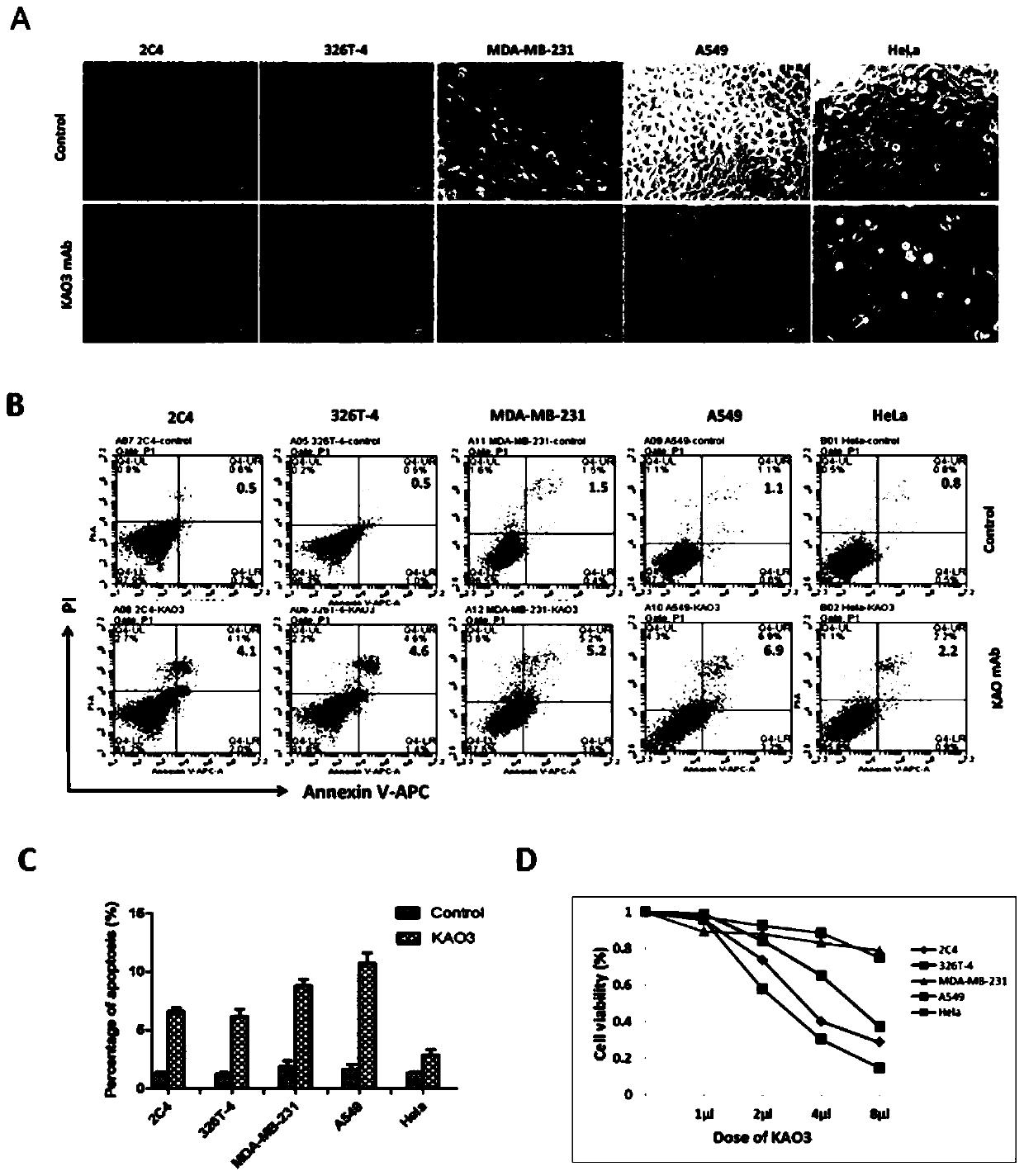 Application of Anti-pl2l60 Protein Antibody in Preparation of Antitumor Drugs