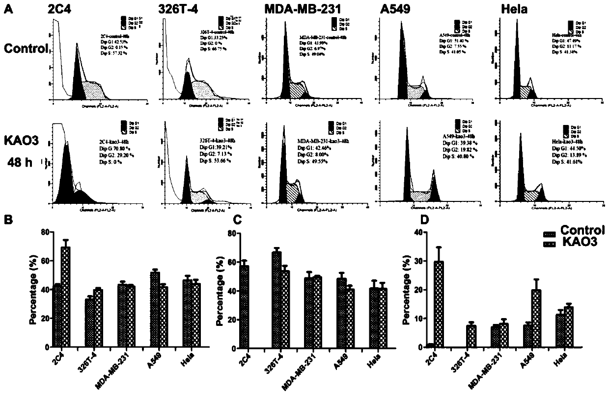 Application of Anti-pl2l60 Protein Antibody in Preparation of Antitumor Drugs