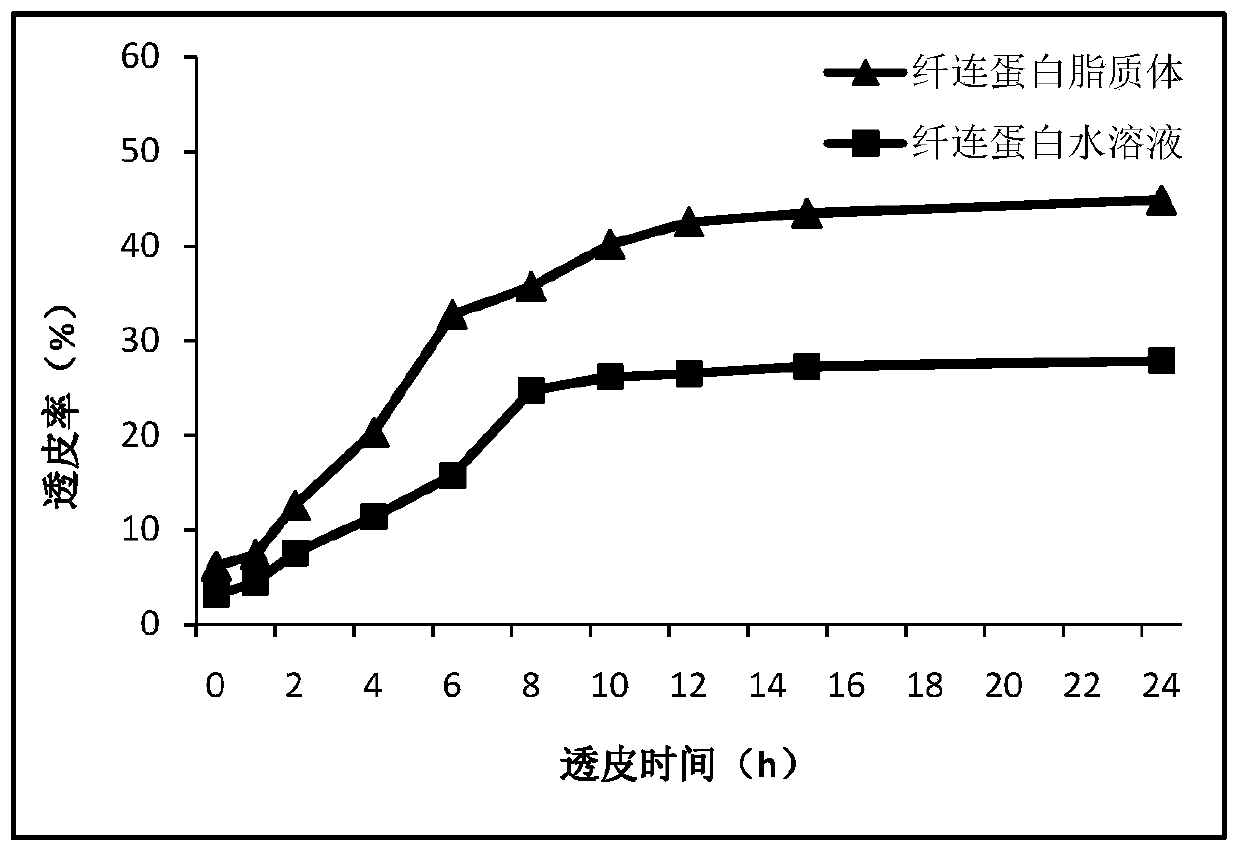 Preparation method of protein liposome FNL and application thereof in cosmetics