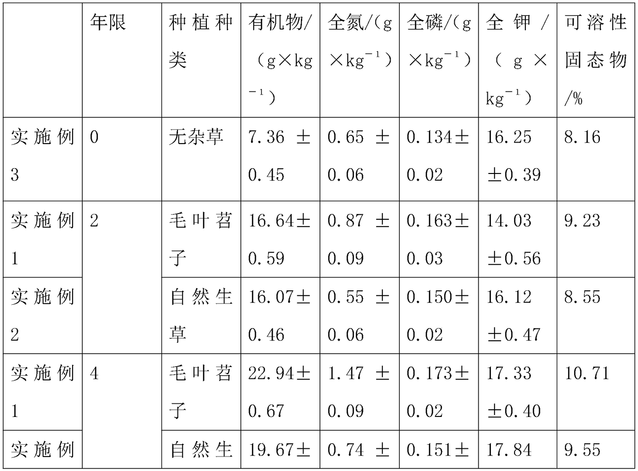 Mulberry planting method