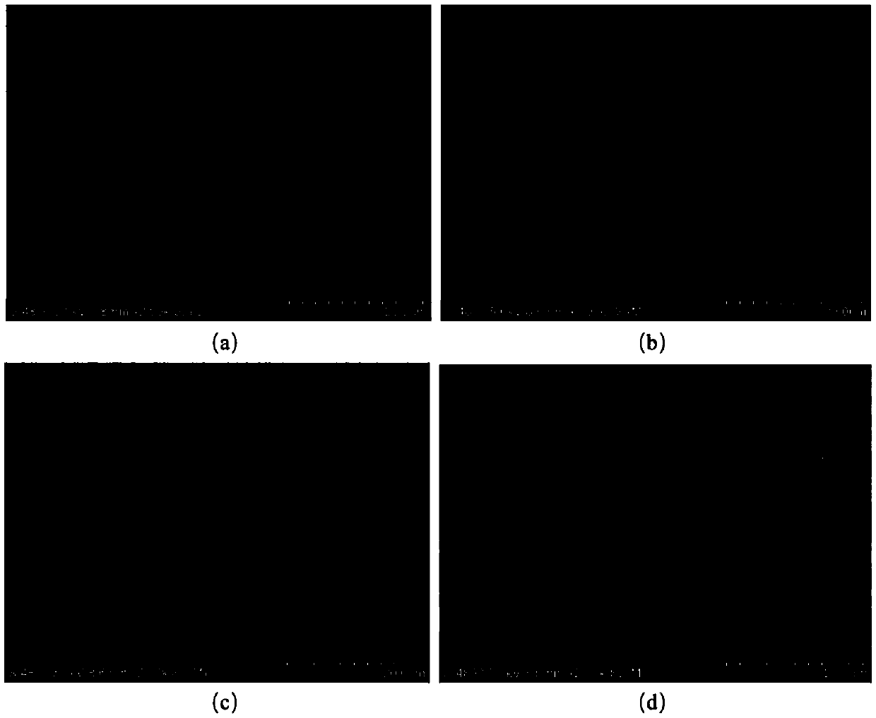 Application of chitosan guanidine cationic waterborne polyurethane in preparation of antibacterial coating layer