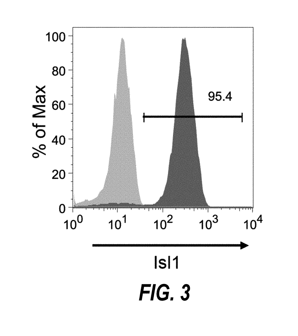 Methods for isolating human cardiac ventricular progenitor cells