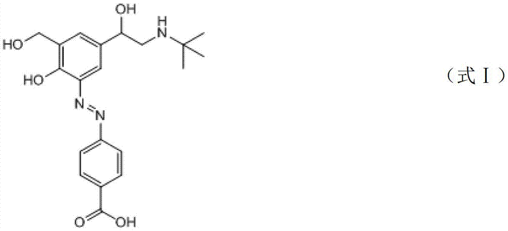 Salbutamol immunomagnetic bead separation and enrichment kit and application thereof