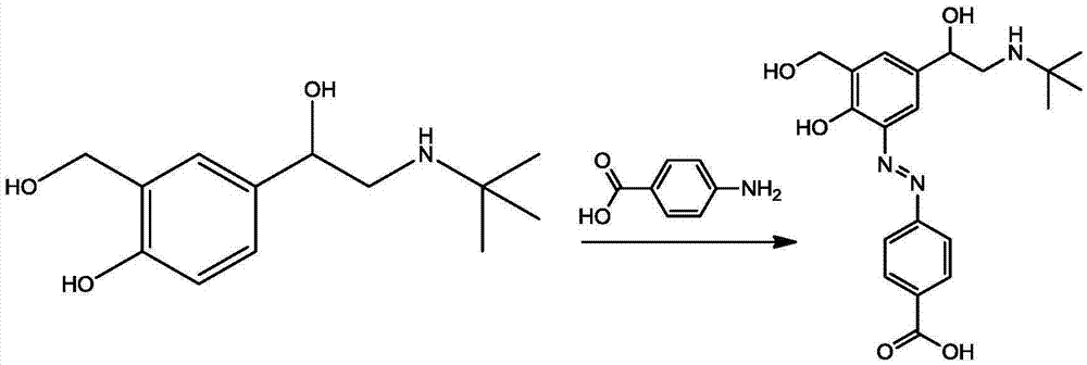 Salbutamol immunomagnetic bead separation and enrichment kit and application thereof