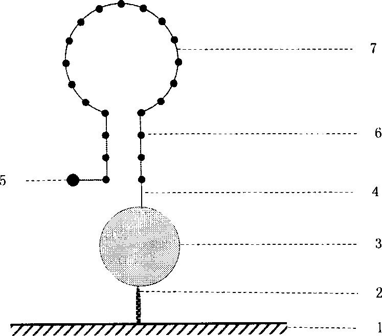 Solid phase nucleic acid detection probe and preparing method thereof