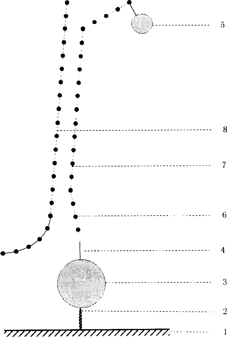 Solid phase nucleic acid detection probe and preparing method thereof