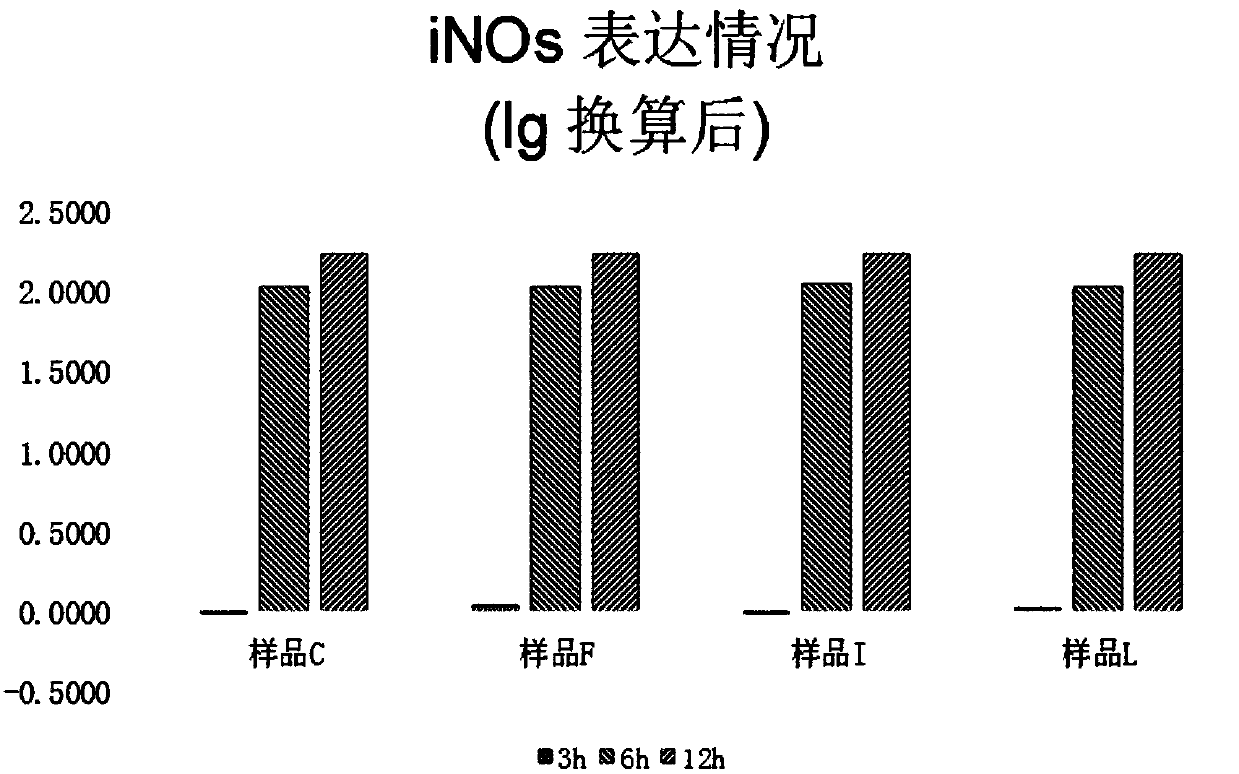 Applications of Bacteroides fragilis in preparation of inducer for inducing polarization of macrophages into M1 macrophages