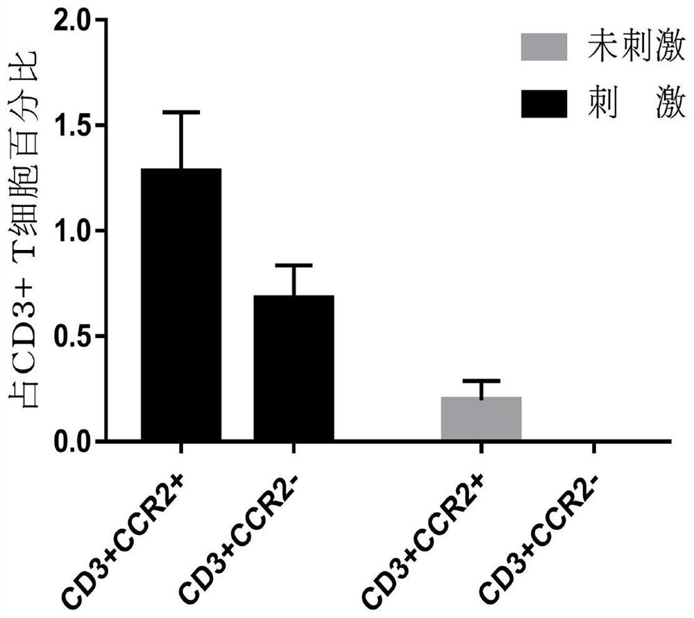 Immune cell overexpressing CCR2 and application thereof