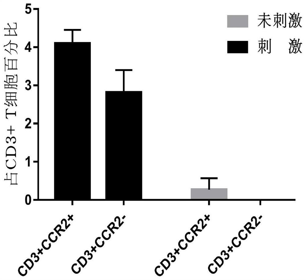 Immune cell overexpressing CCR2 and application thereof