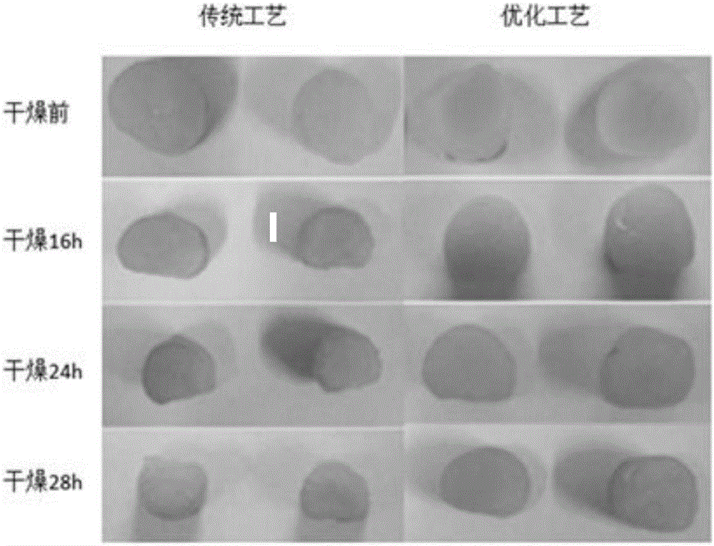 Method for dry preparation of high-quality chlamys farreri adductor